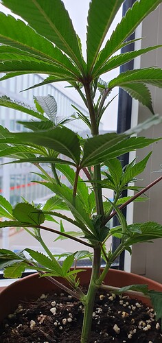 Growreport Bild 2