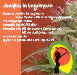 Juanita2