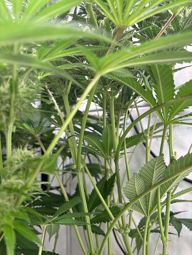 Growreport Bild 9