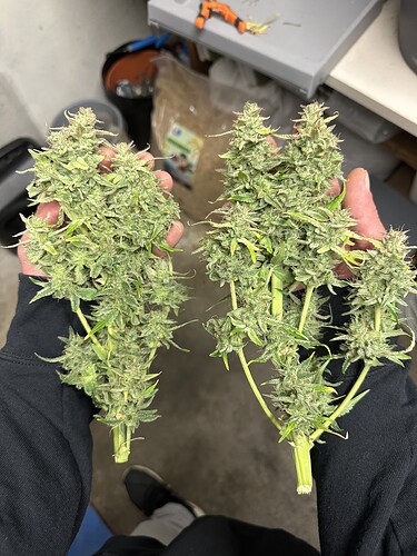 Growreport Bild 15