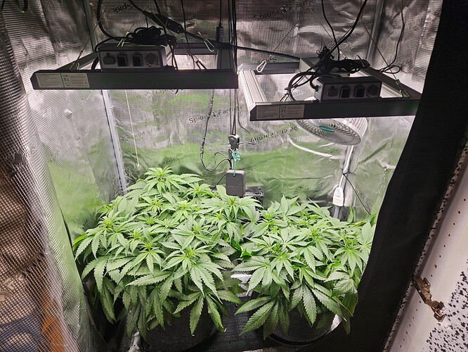 Growreport Bild 8