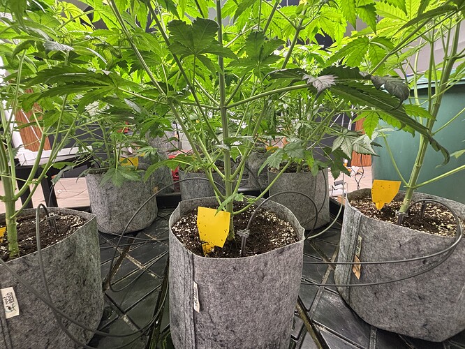 Growreport Bild 22