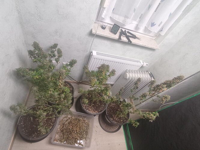 Growreport Bild 5
