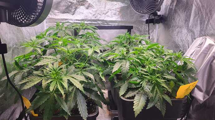 Growreport Bild 3