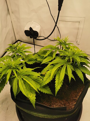 Growreport Bild 10
