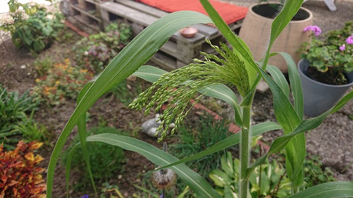 Growreport Bild 22