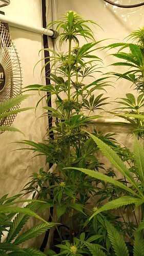 Growreport Bild 11