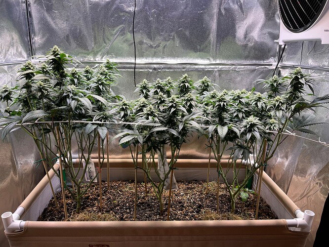 Growreport Bild 1