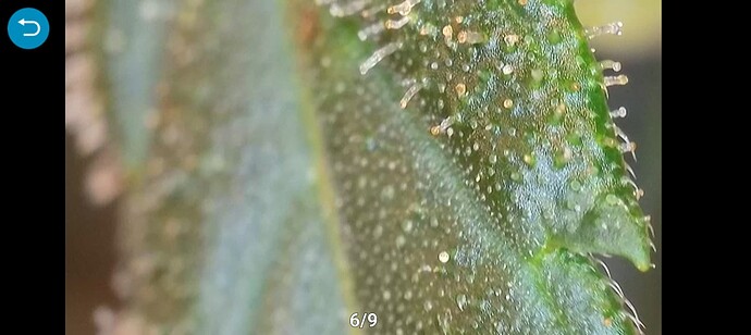 Compress_20240614_190837_7584