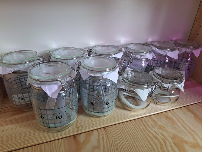 Growreport Bild 11
