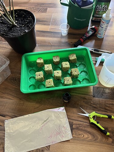 Growreport Bild 36