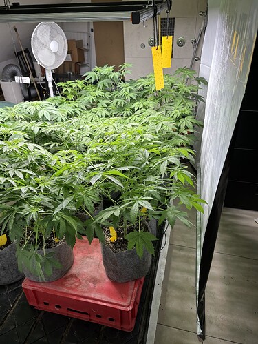 Growreport Bild 32