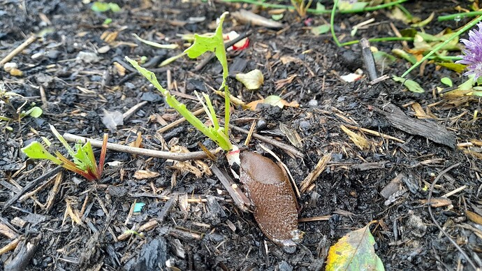 Growreport Bild 21