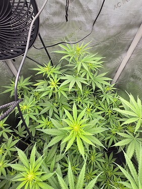 Growreport Bild 7