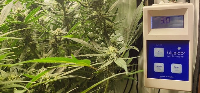 Growreport Bild 80