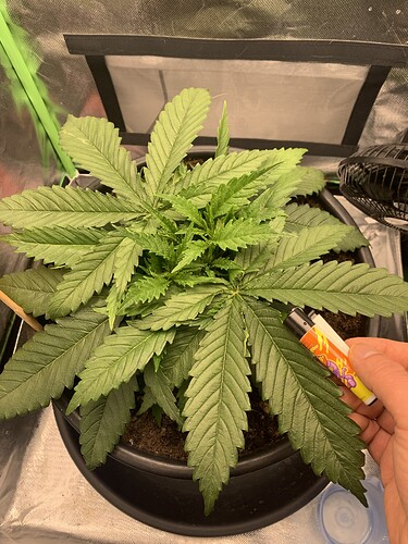 Growreport Bild 11