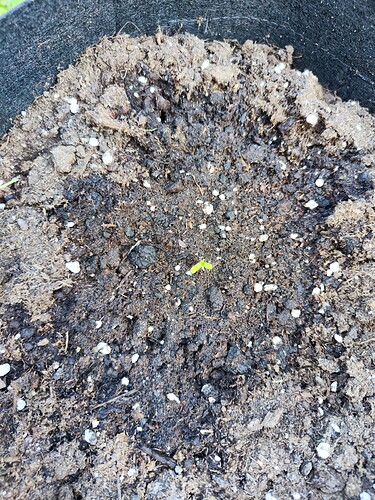 Growreport Bild 8
