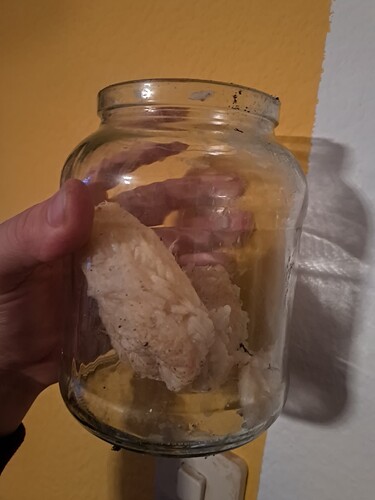 Growreport Bild 15