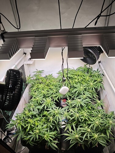 MVIMG_20251022_164734