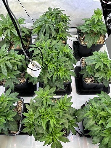 Growreport Bild 10