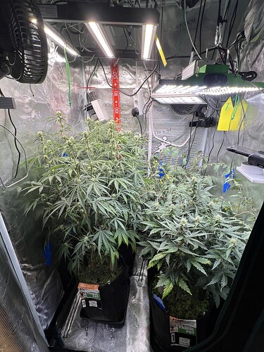 Growreport Bild 8