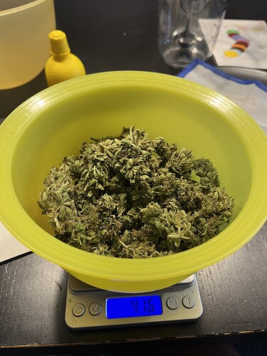 Growreport Bild 16