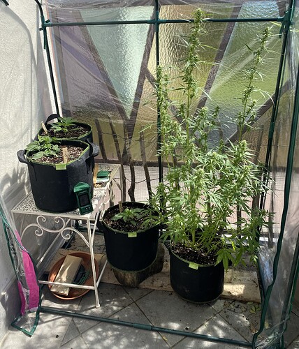 Growreport Bild 1