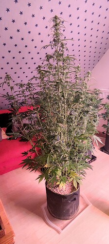 Growreport Bild 21