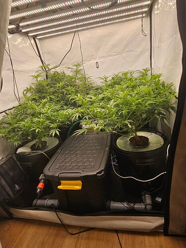 Growreport Bild 8