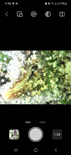Screenshot_20241012_174517_Sup-Anesok