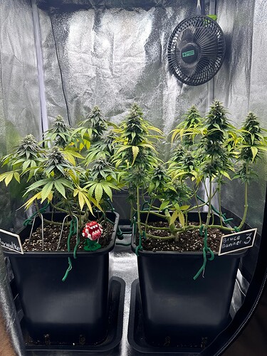 Growreport Bild 8