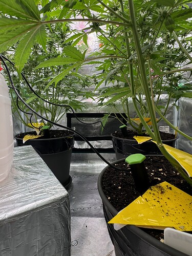 Growreport Bild 14