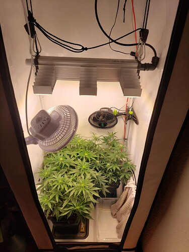 Growreport Bild 2