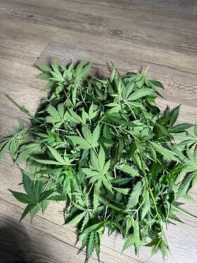 Growreport Bild 5