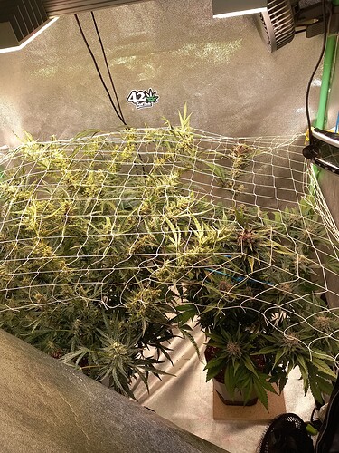 Growreport Bild 5