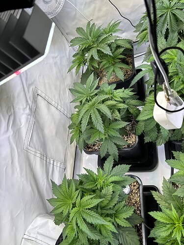 Growreport Bild 9