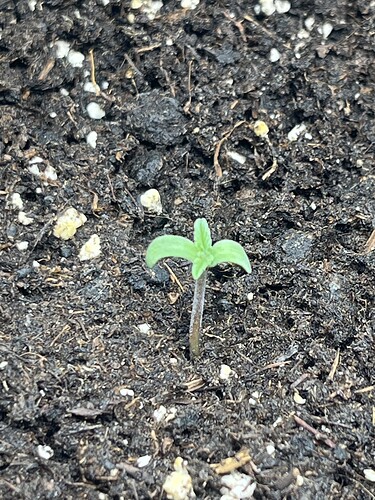 Growreport Bild 5