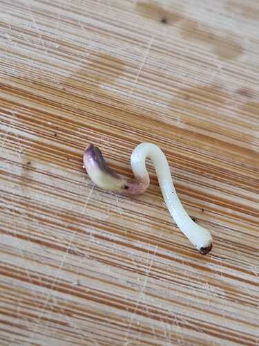 WhatsApp Image 2024-04-29 at 11.00.38 (1)