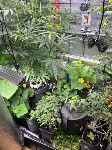 Growreport Bild 15