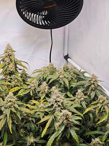 MVIMG_20251121_194525