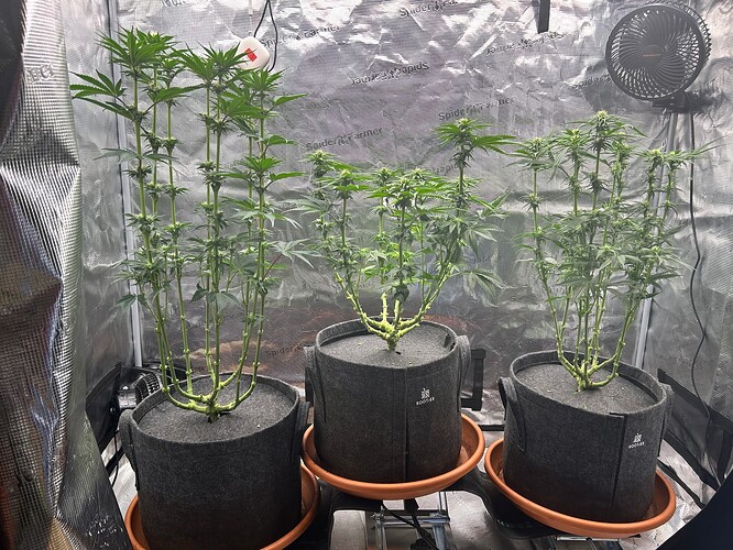 Growreport Bild 8