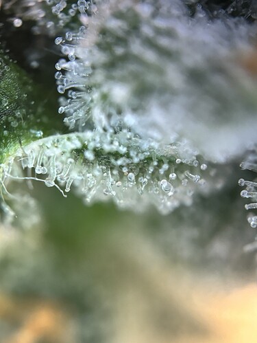 Growreport Bild 21