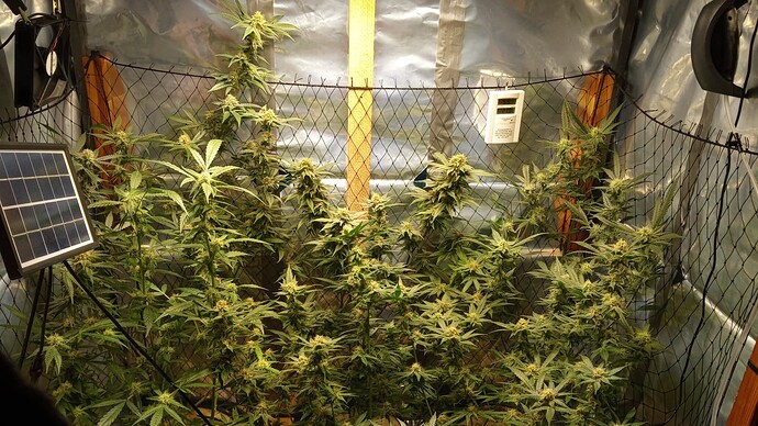 Growreport Bild 1