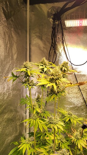 Growreport Bild 8