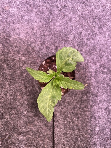Growreport Bild 8