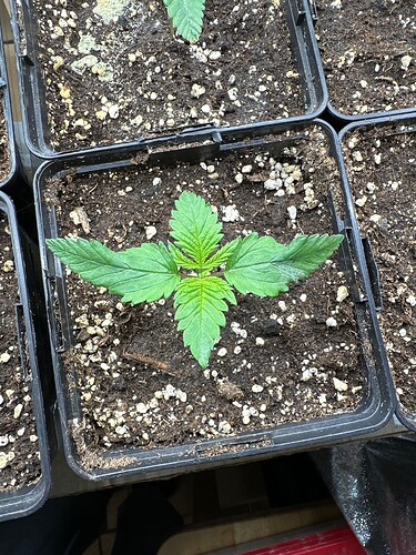 Growreport Bild 16