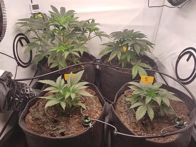 Growreport Bild 12