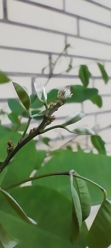 IMG_20240526_202325