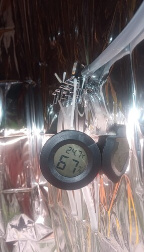 Screenshot_20250315_181348