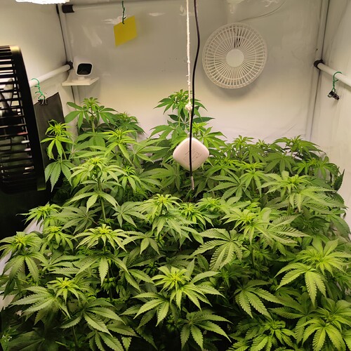 Growreport Bild 18